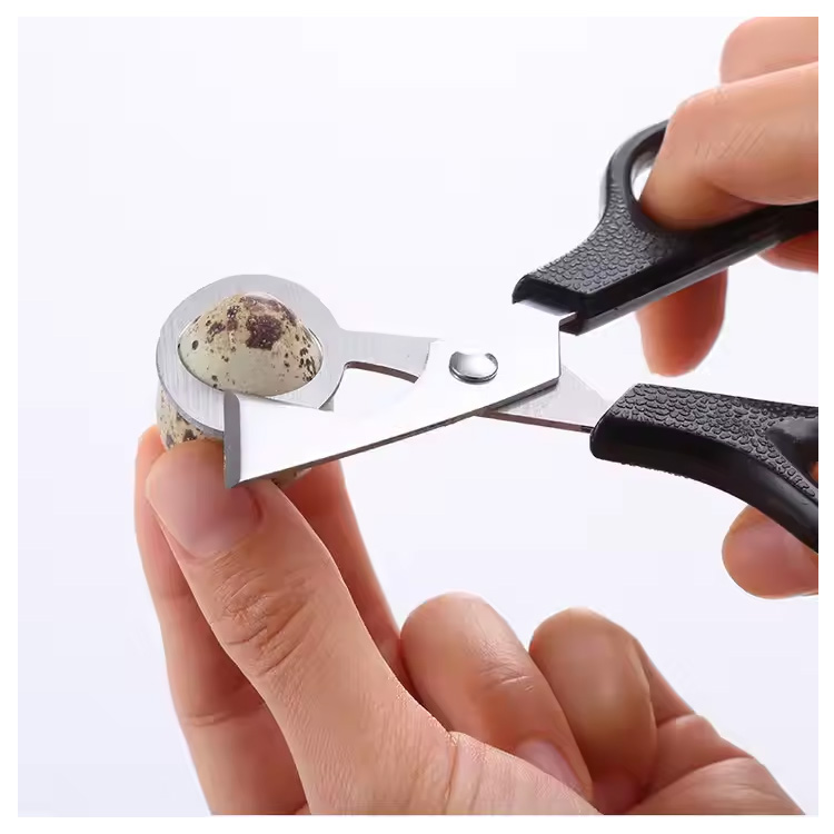 Cheap Kitchen Tool Pigeon Quail Bird Egg Clipper Cutter Scissor
