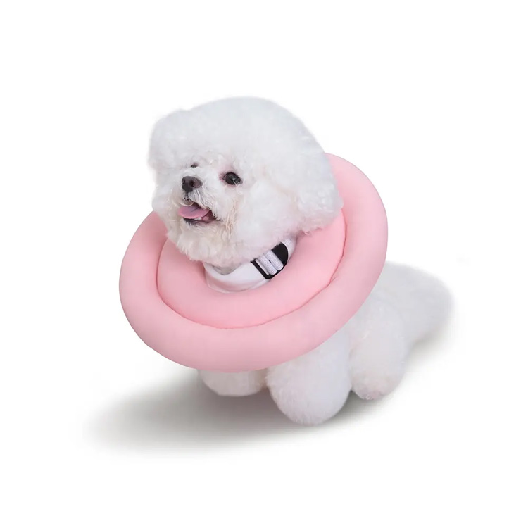 Recovery Dog Elizabeth Cone Collar Elizabethan Cat Pet Collar