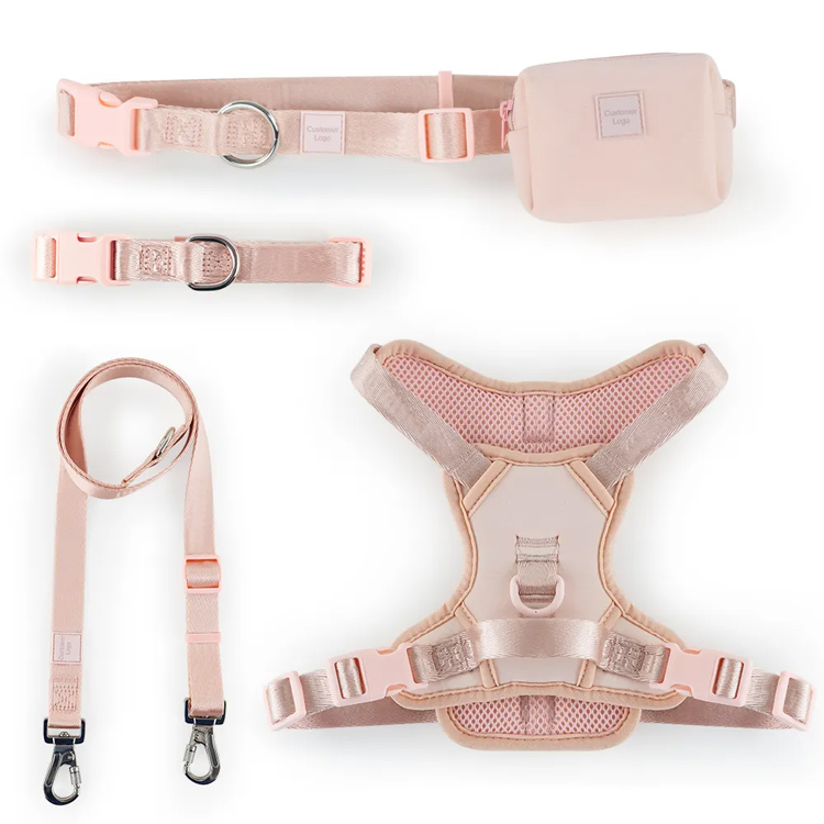 Vest Set Adjustable Padded Pet Harness With Collar and Leash